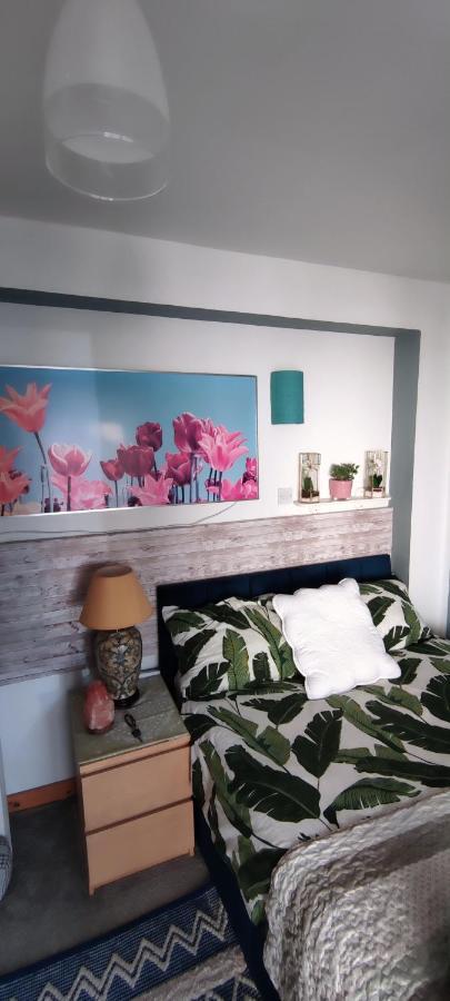Joanna'S Studio , Key Locker By Whatsapp Own Entrance, Own Bathroom Youghal Esterno foto